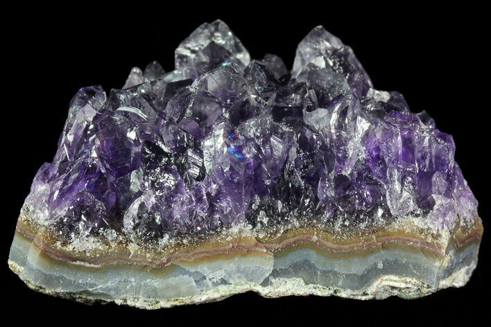 Purple Amethyst Cluster - Uruguay #66784